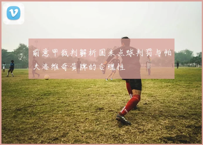 前意甲裁判解析国米点球判罚与帕夫洛维奇黄牌的合理性