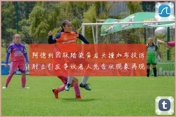 阿德利因踩踏染黄后头撞加布投诉肘击引发争议恶人先告状现象再现