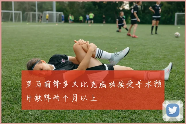 罗马前锋多夫比克成功接受手术预计缺阵两个月以上