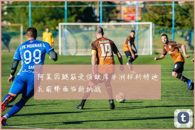 阿莱因腿筋受伤缺席非洲杯科特迪瓦前锋面临新挑战