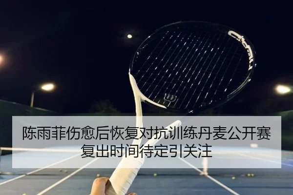 陈雨菲伤愈后恢复对抗训练丹麦公开赛复出时间待定引关注 - jiangnan